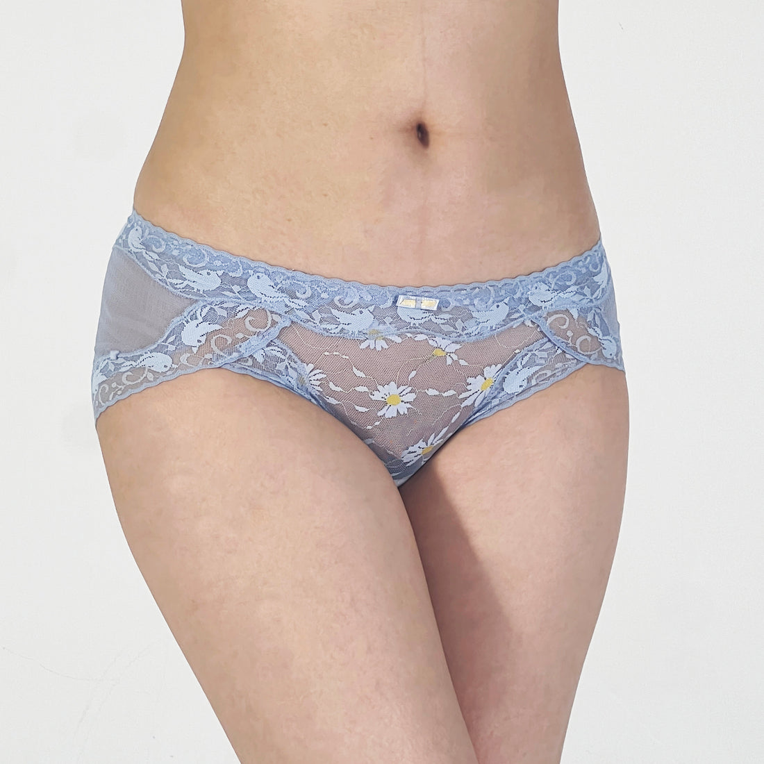 Sky Blue Sheer Lace Bikini Panty with Daisy Embroidery